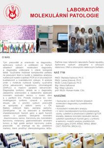 Provádíme monitoraci léčebné odpovědi (stanovení minimální residuální nemoci), monitoraci funkční imunitní odpovědi (Cytomegalovirus), vyvíjíme nové metodické přístupy, včetně bioinformatické analýzy