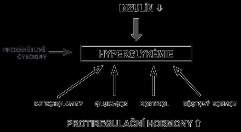STRESOVÁ HYPERGLYKÉMIE