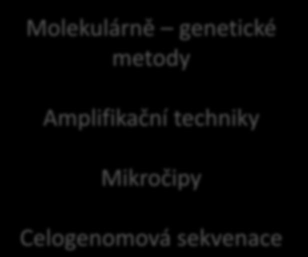 Diagnostické metody v