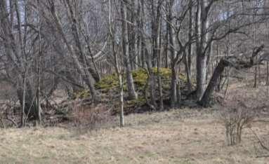 Valštejn
