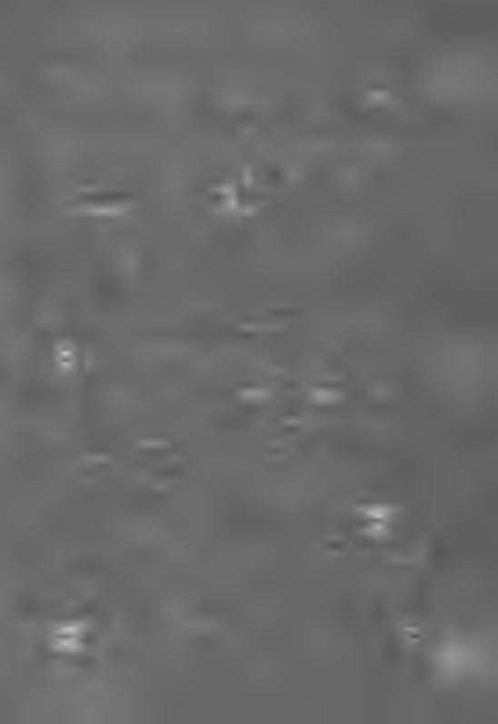 55 56 57 58 59 50 61 62 63 64 65 66 67 68 69 70 >1 >2 ^3 ^4 ^6 >7 >8 ^9 SO 8l 82 na polích zde bych vám pověděla něco více o cisterciáckém řádu cisterciácký řád vzniká v roce tisíc devadesát osum kdy