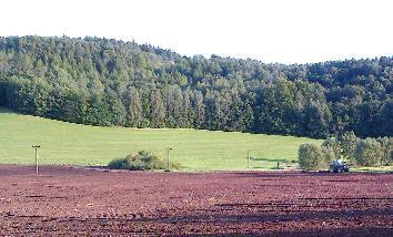 Postupně speciální stroj hnůj rozházel a zaryl (většinou k večeru až v noci). Nakonec byla pole traktorem s branami uvláčena (snímek z 20.8.2017).