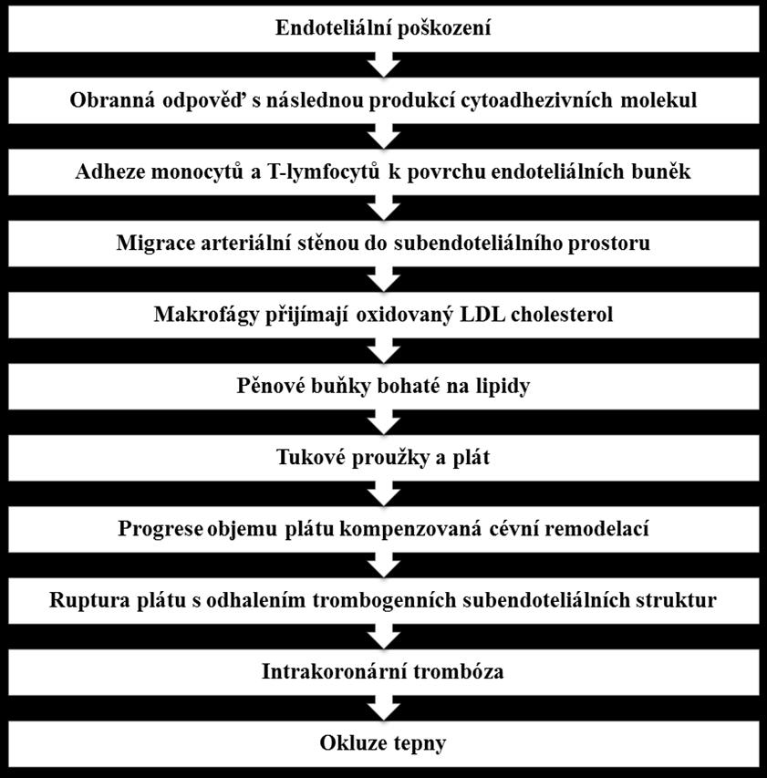 Příloha D: Patogeneze aterosklerotického