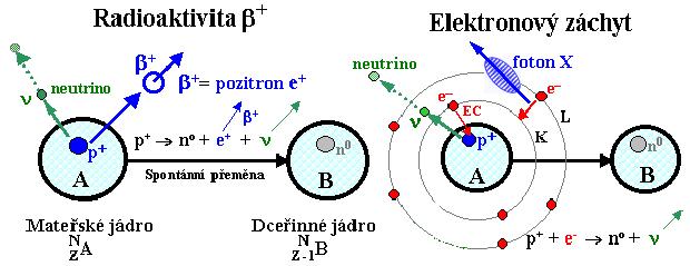 elektrony (pozitrony) a neutrina (antineutrina) γ-záření