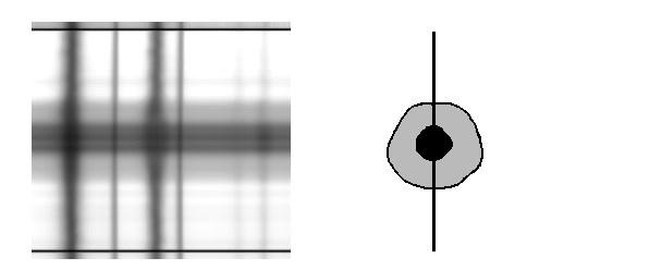 Sluneční skvrny magnetické pole 1908 G. E.