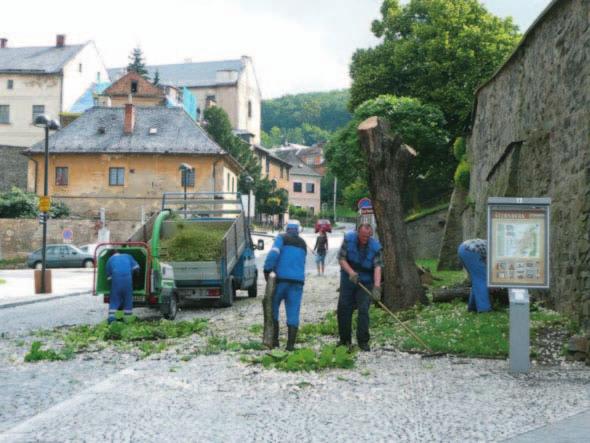 ŠTERNBERSKÉ LISTY 13/2009 SLOVO MÁ RADNICE STRANA 2 Výměna řidičských průkazů vydaných od 1.ledna 1994 do 31.prosince 2000 Upozorňujeme majitele řidičských průkazů vydaných od 1. ledna 1994 do 31.