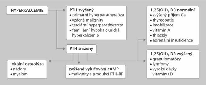 Primární hyperparatyreóza manifestovaná desetiletou anamnézou vředové choroby gastroduodenální Ludmila Brunerová, Richard Sotorník II. interní klinika FNKV a 3.