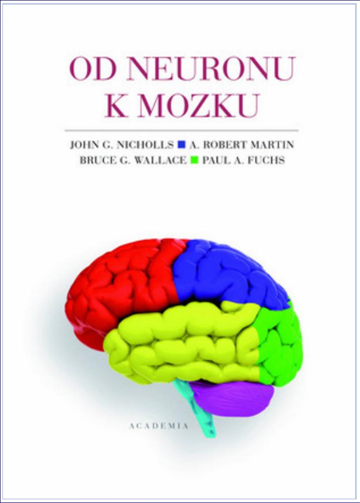 Od neuronu k mozku Přes