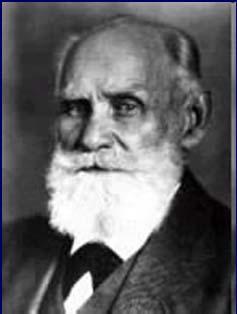 Ivan Petrovič Pavlov (1849 1936) Nervový fyziolog se zaměřením na reflexní regulaci aktivity nebo chování V letech 1891 až 1900 prováděl