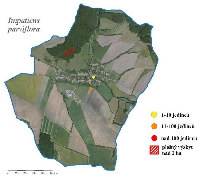 Mapa č.