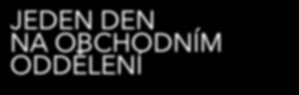 Jedenkrát za 3 měsíce pak společně na obchodním oddělení vzájemně připomínkujeme chod oddělení, probíráme operativu, řešíme dovolené, školení a vzájemnou zastupitelnost, nastiňuje program