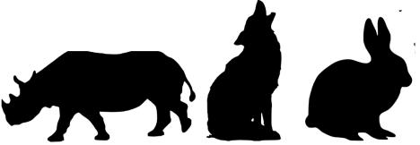 Nosorožec je velký. Vlk je m. Králík je n _. Co to znamená?