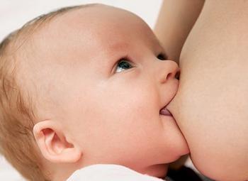 Kojení Kojení je krmení novorozeného nebo malého mláděte mlékem z mléčné žlázy matky.
