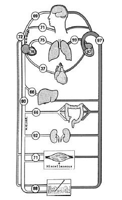 Venosní oxymetrie F. Bloos, K.
