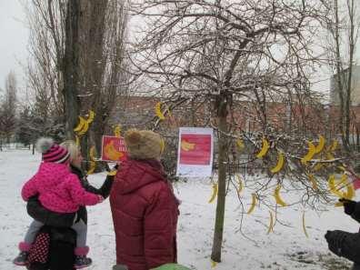 Banánovník v parku u zimního stadionu upozornil na příběh banánu 19.