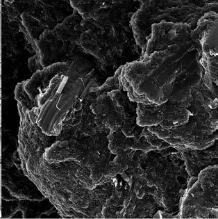 Struktura lomové plochy polymerních materiálů s přírodními plnivy (SEM) 1 3 2 1 kokos s