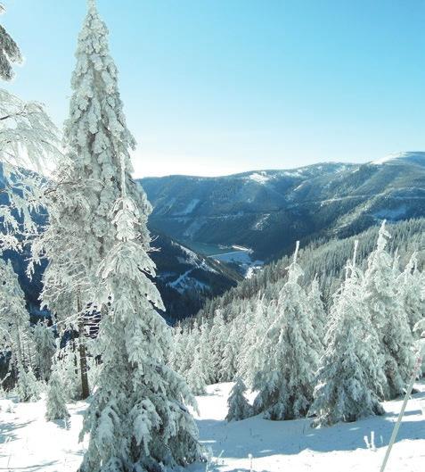 Vnitřní vrstva je tvořena funkční membránou odolnou proti větru a vodě (vodní sloupec 10 000 mm, index prodyšnosti 10 000 g/m 2 /24 h).