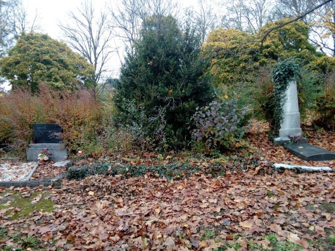 Starosta obce i hasičů celou tragédii těžce nesl. Ač přísně vychován a veden k práci, zejména pro druhé, zvolil cestu, která přináší zkázu, alkohol.