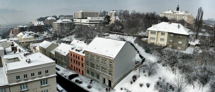Stala se také desátým nejvýznamnějším zaměstnavatelem v České republice ze zdravotnických zařízení. V současnosti má Nemocnice Na Bulovce 2 100 zaměstnanců, z toho 370 lékařů a 790 všeobecných sester.