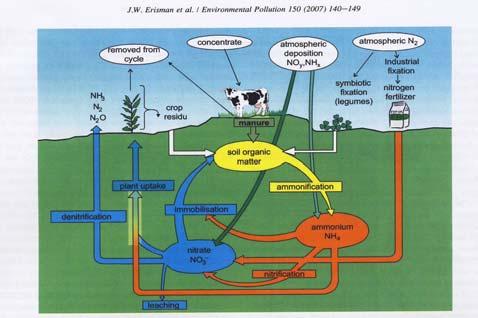 Dusíková revoluce a Klimatická změna 9 2 Růst počtu obyvatelstva. Růst zemědělské produkce. Růst produkce a spotřeby dusíkatých hnojiv ( N * ).