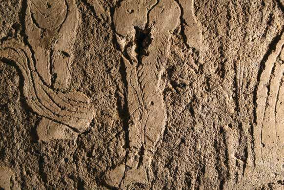 To nebylo možné s jistotou určit pouhým vizuálním průzkumem. Proto jsme provedli odběr vzorků a materiálový průzkum jednotlivých vrstev sgrafita.