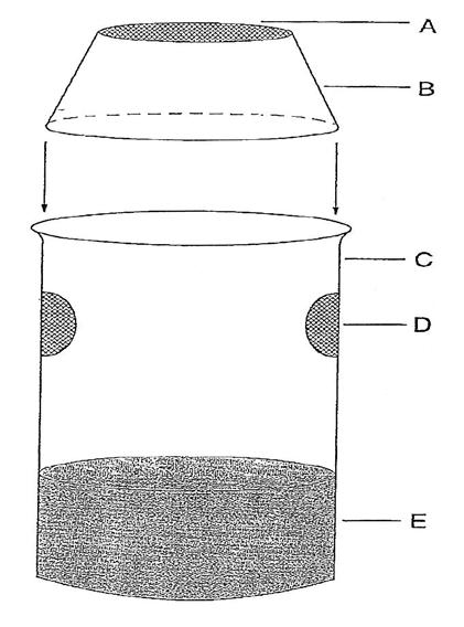Celoživotní test - dle OECD provádí se v 600ml kádinkách sediment artificiální nebo přírodní voda - studniční, povrchová, provozní, uměle připravená sediment : voda 1:4 20 ±2 C, 500 1000 lux, 16L :