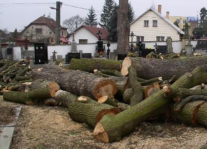 REVITALIZACE A OBNOVA ZELENĚ HŘBITOVA sv. BARBORY I. a II.