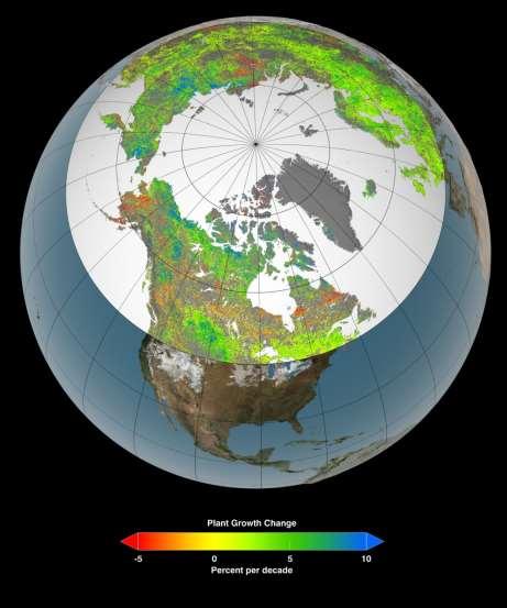 Dlouhodobé monitorování NDVI http://neo.sci.gsfc.nasa.gov/v iew.php?datasetid=mod13a 2_E_NDVI&date=2015-01-01 Nosič MODIS satelit Terra severně od 40 stupně s.z.š.