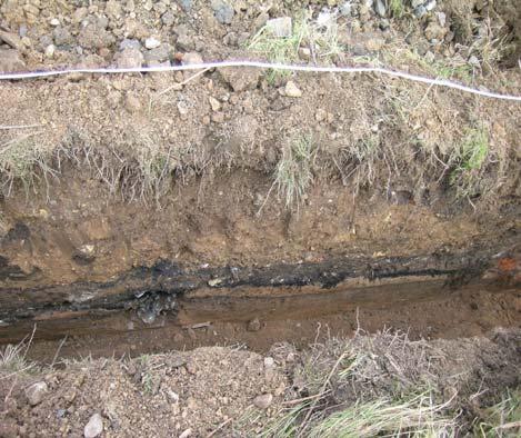 Ojediněle se dochovaly části půdních horizontů šedých až tmavě hnědých barev o mocnosti do 15 cm, často kontaminované antropogenními příměsemi.