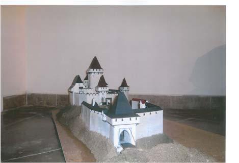 Přes celkový mírný pokles počtu akcí v roce 2008 (200) probíhalo mnoho terénních aktivit, které vyčerpávaly omezené kapacity našich zaměstnanců.