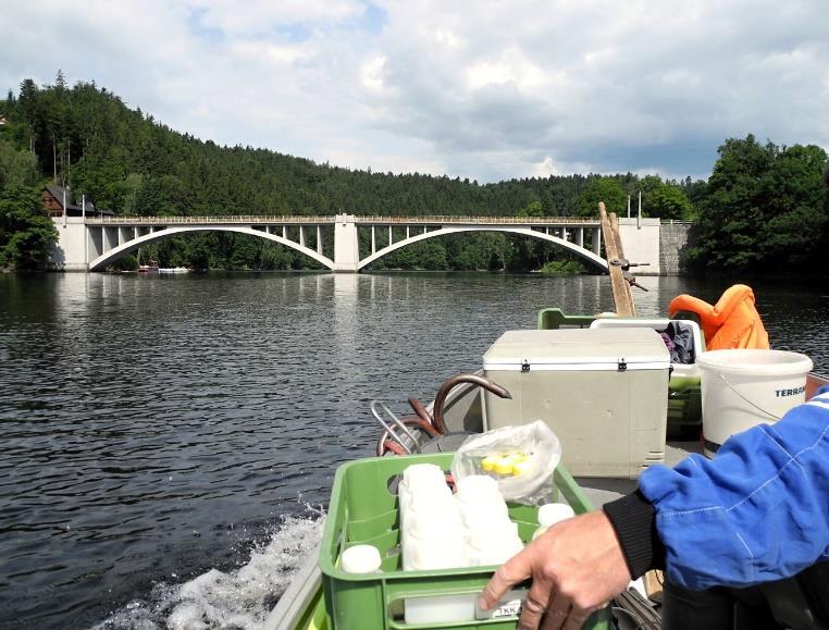 Monitoring povrchových vod Zhoršení kyslíkových poměrů VD Pastviny ČERVEN 1996-2017 0 24.06.1996 09.06.1997 01.06.1998 25.06.2007 23.06.2008 29.06.2009 10 20 30 28.06.1999 13.