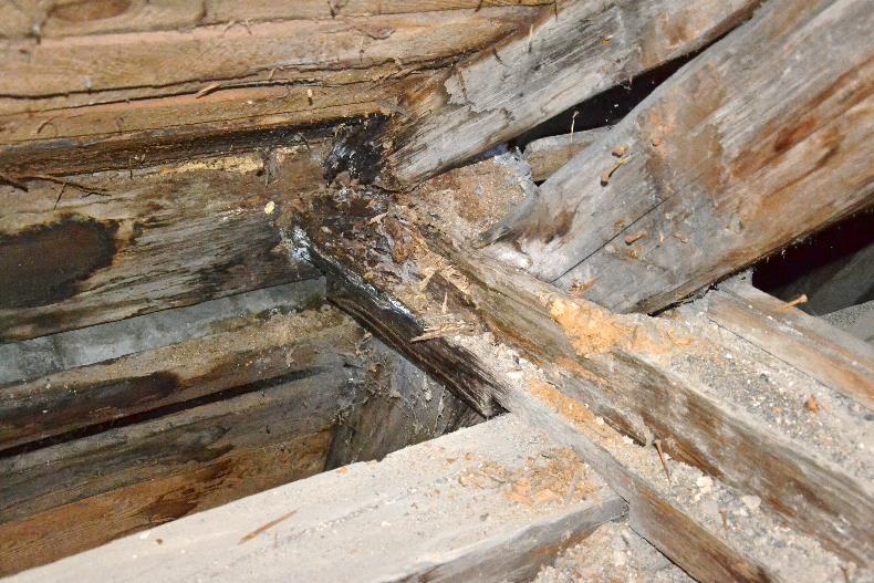 Dokumentace poškozených míst krovu a souvisejících konstrukcí Označení Jih vazný trám prvek původce hloubka poškození