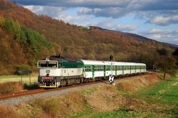 Totiž, když jsem si vyžadonil do bytu štěně neposedného bígla, továrnu na psí chlupy, sliboval jsem hory doly, a taky že se o něj postarám. Jenže ke štěněti se pořídil fotoaparát.