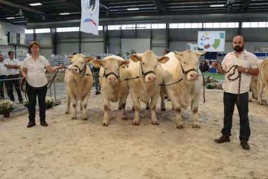 Klub chovatelů plemene Charolais Výsledky