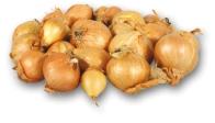CBULE SAZEâKA Cibuºa sadzaãka / Cebula dymka / Onion sets Je tradiãní odrûda sazeãky, Ïlutohnûdé barvy. Produkuje plo e kulovité aï kulaté cibule. Doba dozrávání: stfiední aï pozdní.