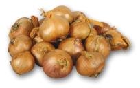 t is traditional Onion sets variety with yellowbrown colour. t produces spherical surface to round onions. The maturation period: middle to late. t has strong roots and a hard shell.