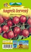 owocowe / Fruit