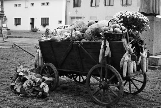 řezbářského učně, práci s karetkami, draní peří, výrobu vizovického pečiva, práci