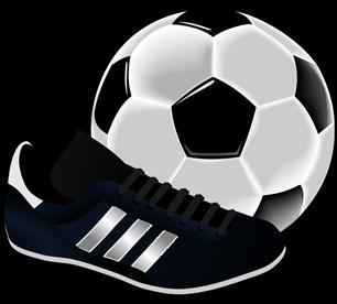 XXII. ročník turnaje v malé kopané Victoria Cup Prvního července se v Jeřišně konal již XXII. ročník turnaje v malé kopané Victoria Cup O Pohár Svazku obcí Podoubraví.