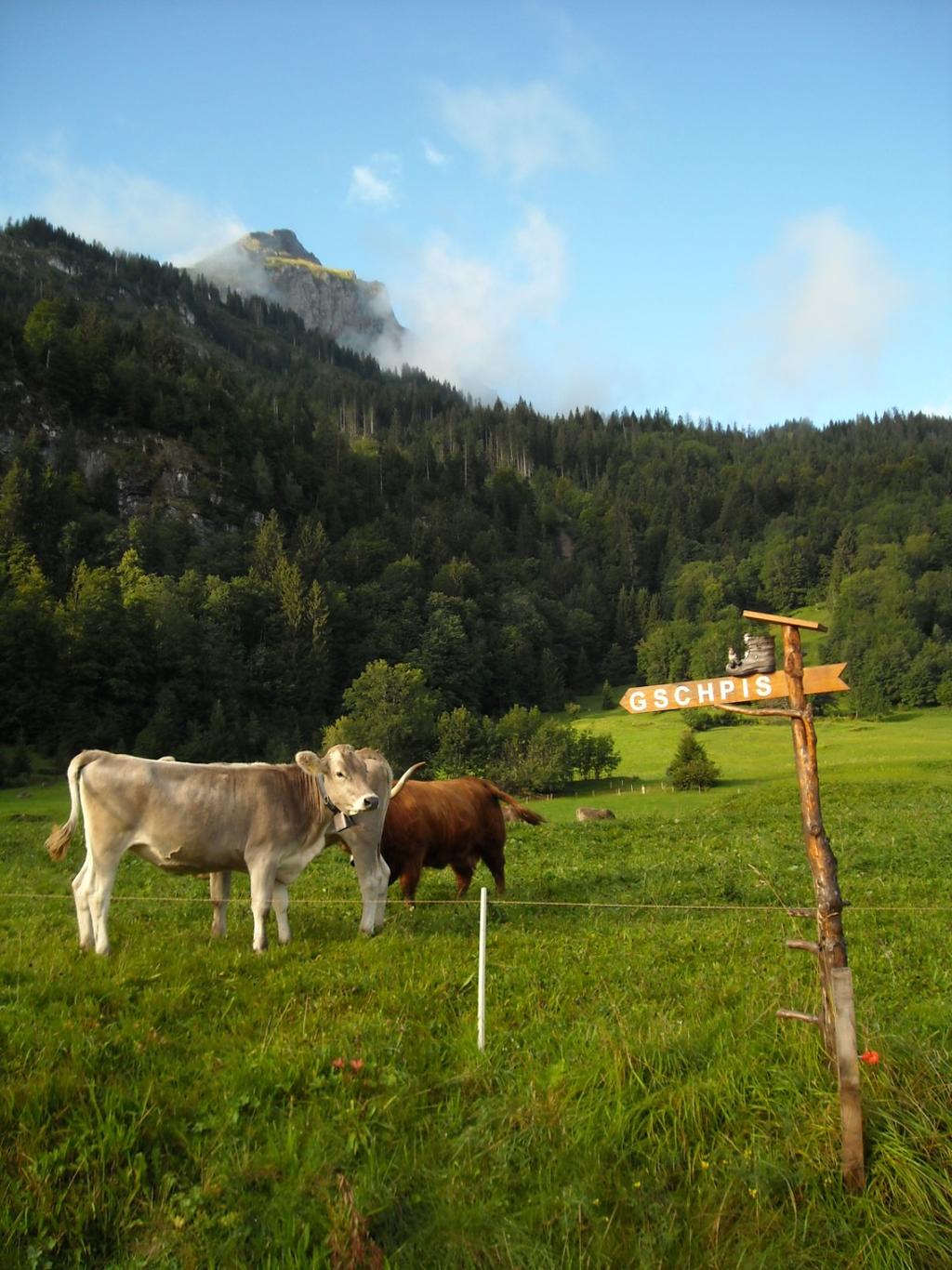 Živočišná