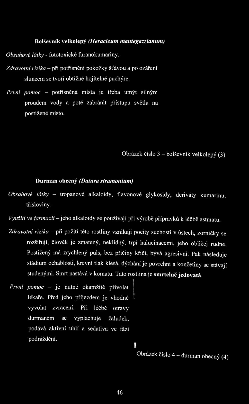 Zdravotní rizika - při požití této rostliny vznikají pocity suchosti v ústech, zorničky se rozšiřují, člověk je zmatený, neklidný, trpí halucinacemi, jeho obličej rudne.