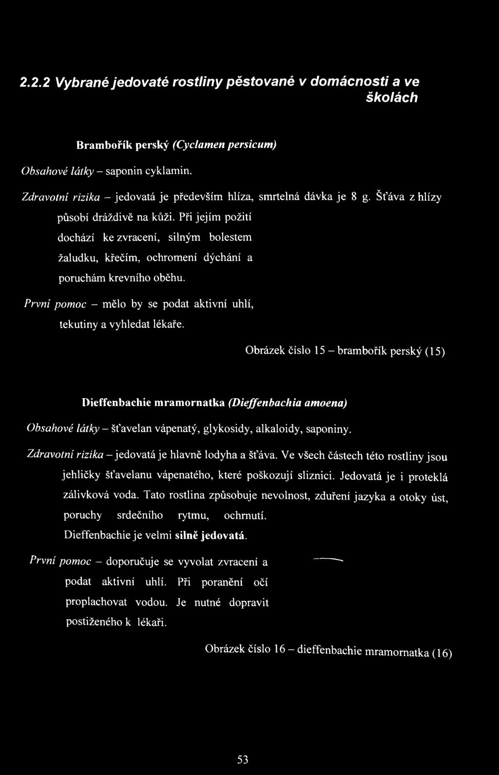 Obrázek číslo 15 - brambořík perský (15) Dieffenbachie mramornatka (Dieffenbachia amoena) Obsahové látky - šťavelan vápenatý, glykosidy, alkaloidy, saponiny.