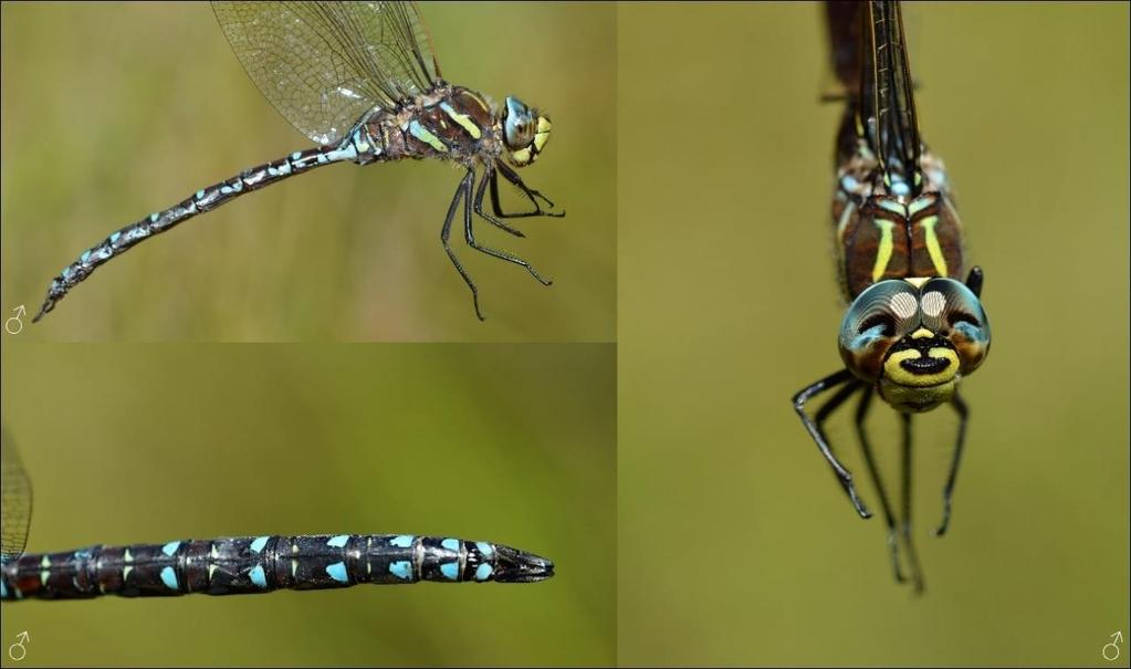 Fotografie 4.
