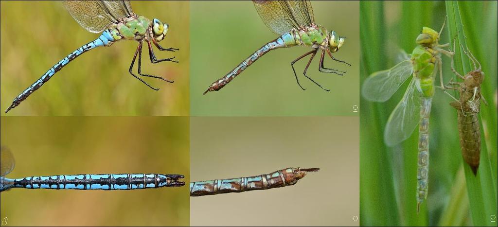 Fotografie 5.