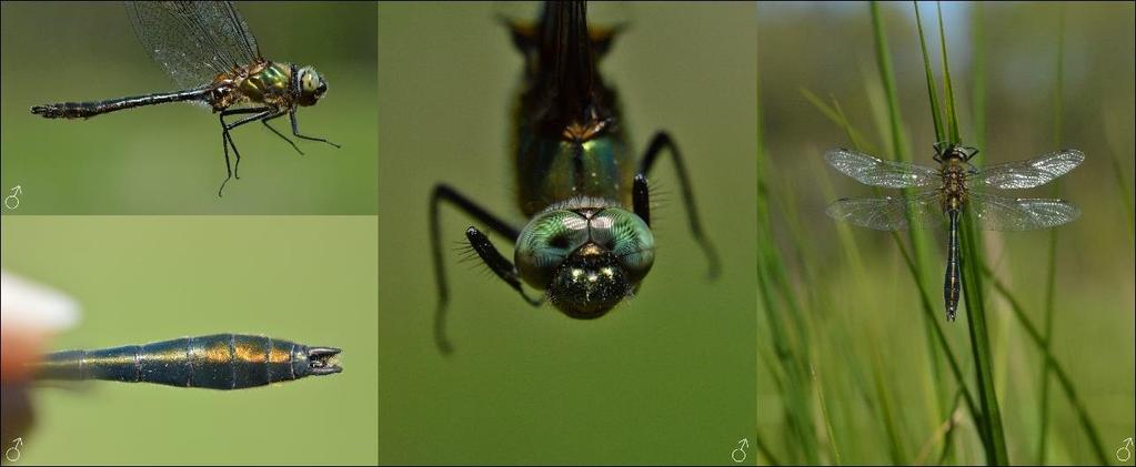Fotografie 6.