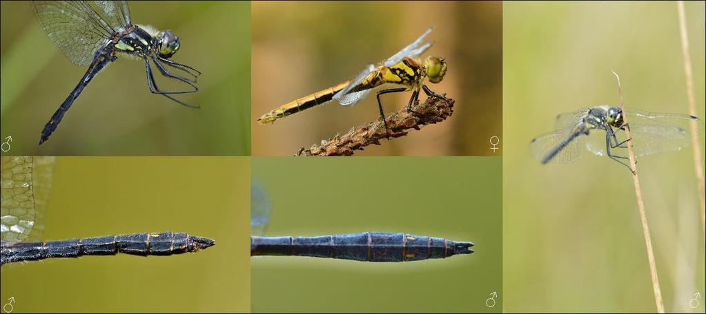 Fotografie 10.