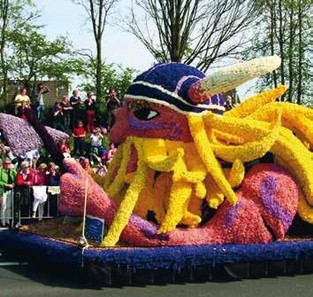 Poté jarní květinový park Keukenhof překrásná zahrada rozkládající se na 32 ha se 100 druhy tulipánů a množstvím jiných květin. Cestou nazpět projedeme nejznámějším krajem tulipánů v oblasti Haarlemu.