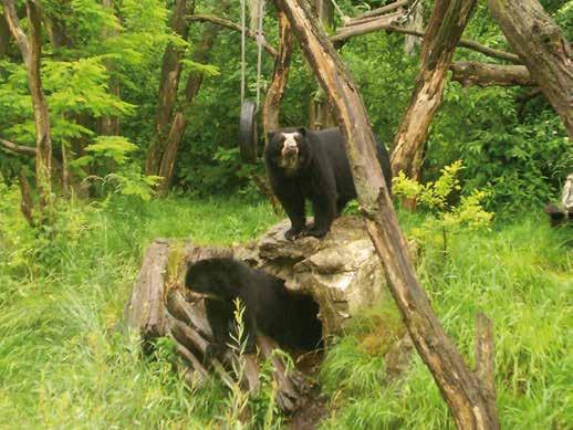 Výlety pro rodiče s dětmi Rakousko VÍDEŇSKÁ ZOO NEJSTARŠÍ ZOO NA SVĚTĚ 19PO38 Vídeňská zoologická zahrada Schönbrunn je nejstarší zoologickou zahradou na světě. V roce 1752 nechal císař František I.
