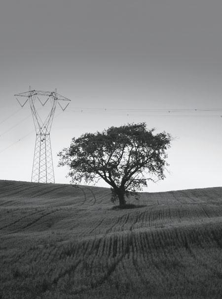 CEZ GROUP IS A DYNAMIC, INTEGRATED ENERGY CONGLOMERATE based in the Czech Republic and with operations in a number of countries in the region of Central and Southeastern Europe.