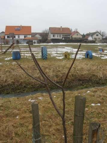 Poškození